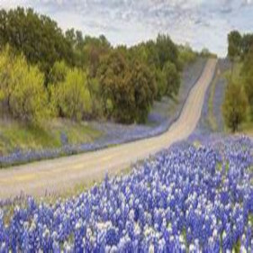 explanation of this image will be supplied