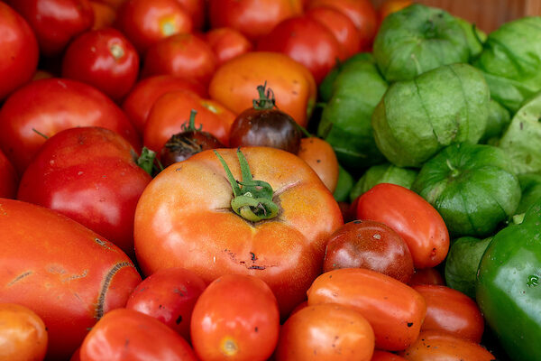 Photo: varieties of tomatoes
