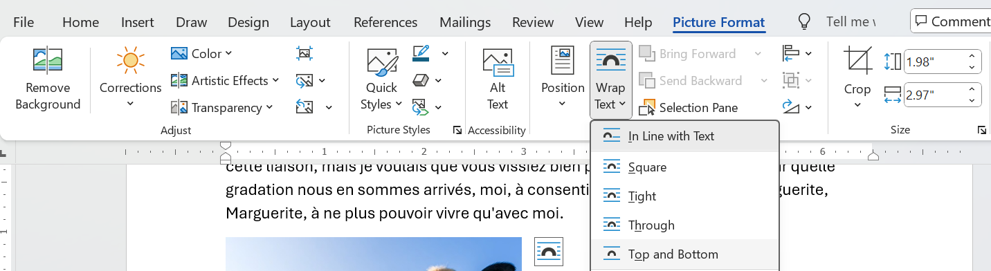 Menu: insert > Picture